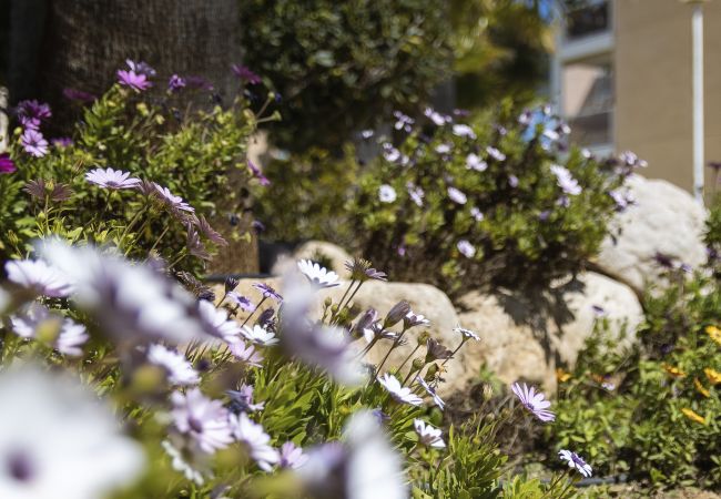 Ferienwohnung in Javea - Golden Paradise Mar Ferienwohnung in Javea - Golden Paradise Mar