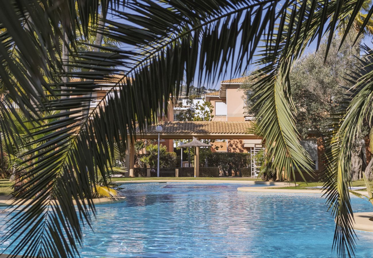 Ferienwohnung in Javea - La Senia