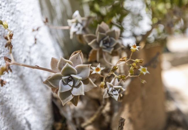 Villa in Javea - Casa Mitra Villa in Javea - Casa Mitra