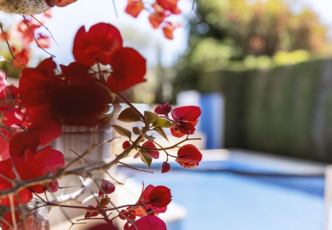 Villa in Javea - Casa Mitra Villa in Javea - Casa Mitra