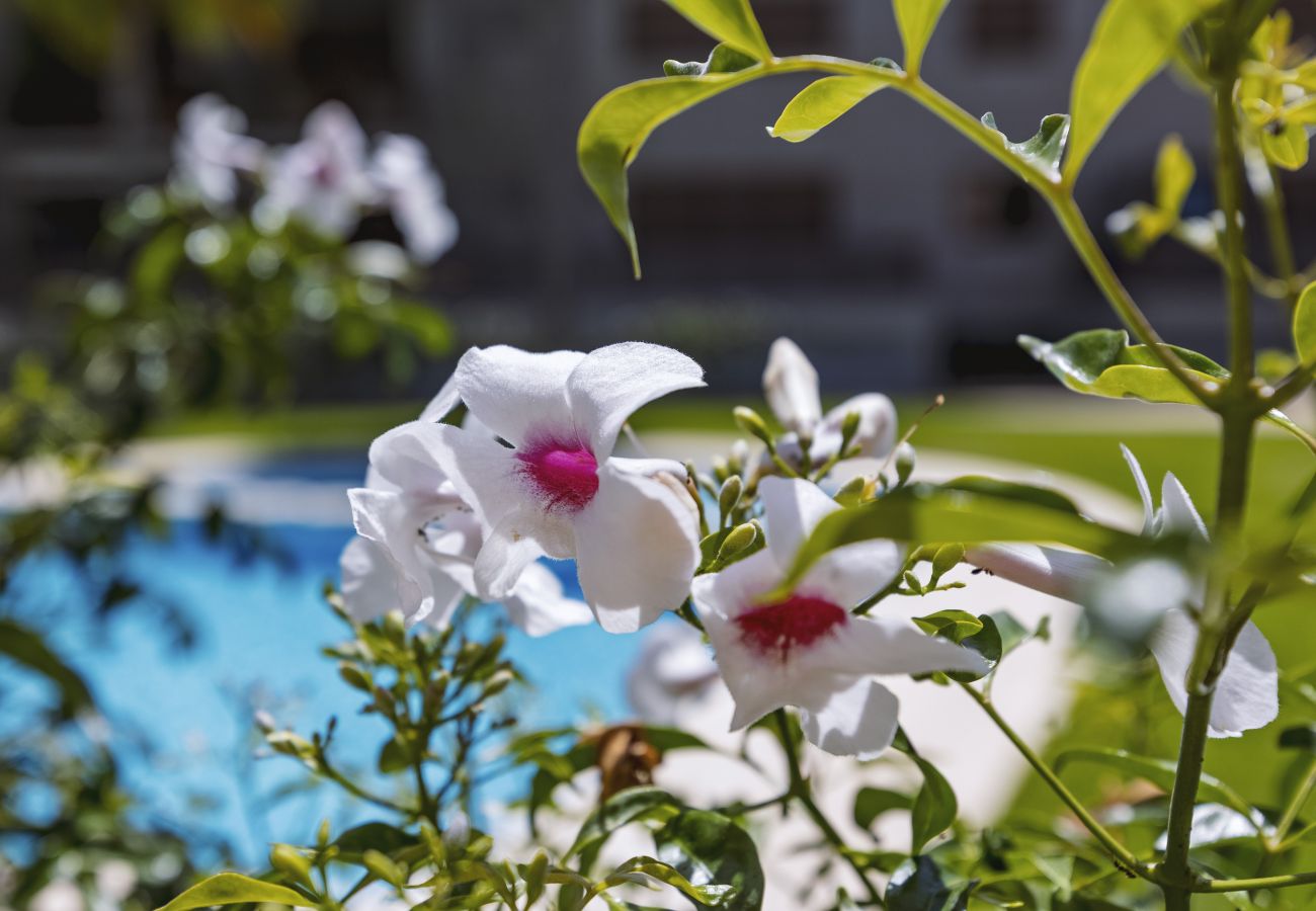 Appartement in Javea - Luma Star