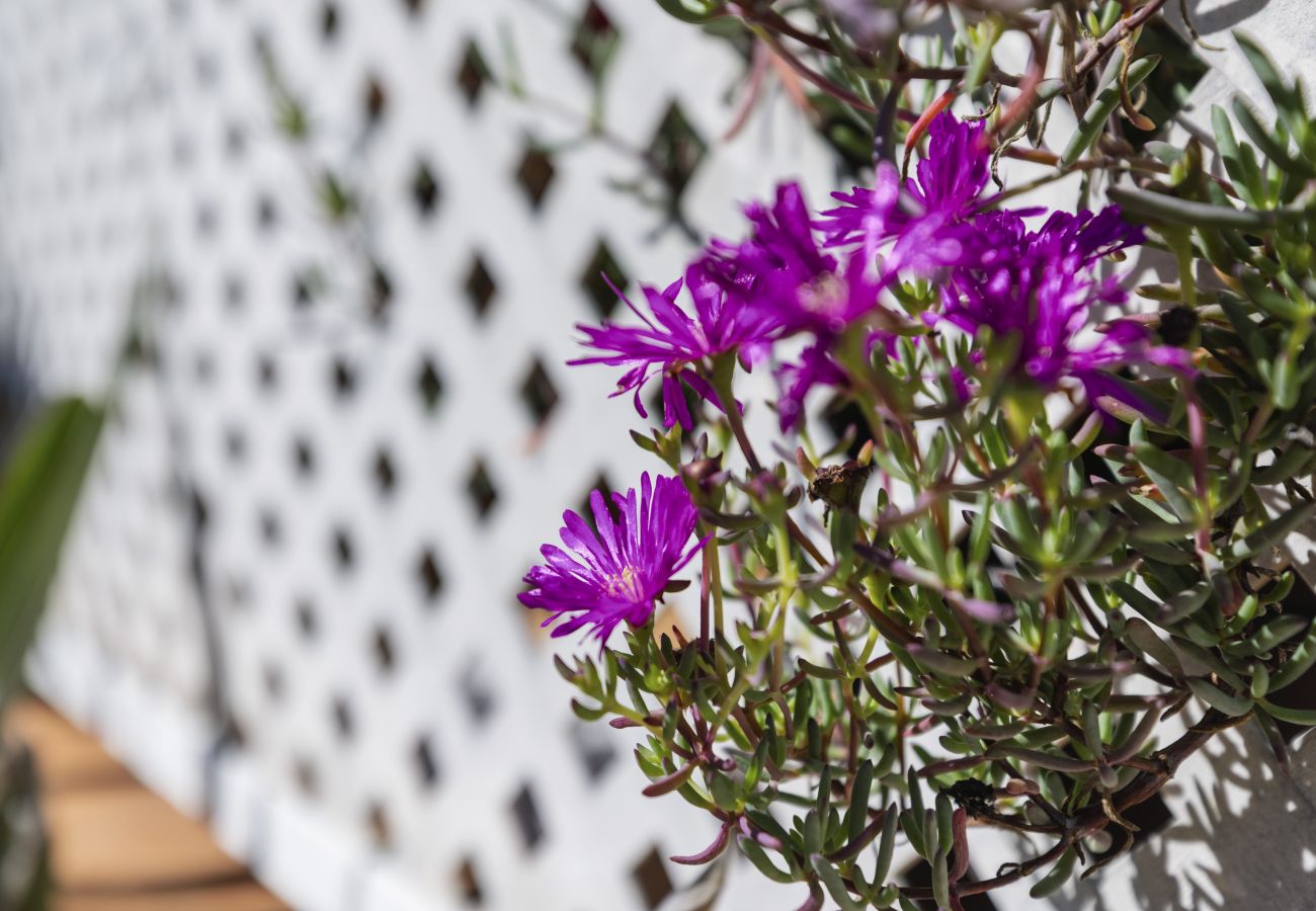 Appartement in Javea - Canela 