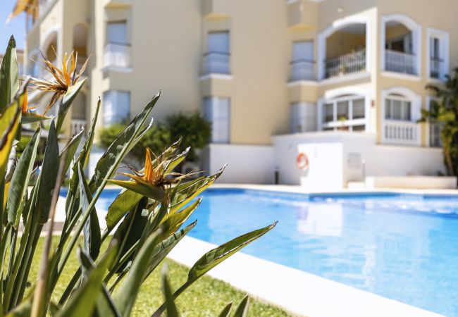 Apartamento en Javea - Jardines Del Sol Apartamento en Javea - Jardines Del Sol
