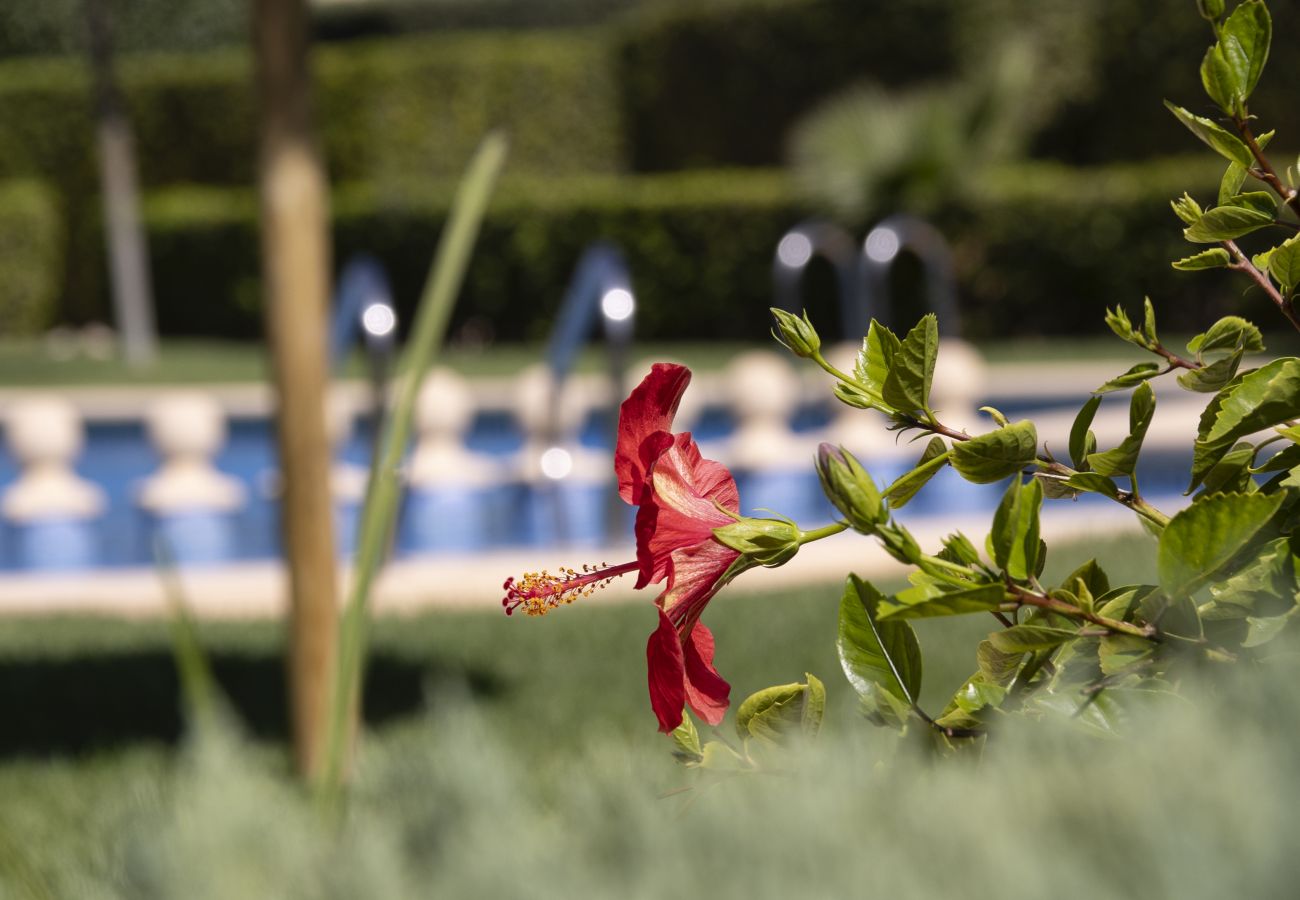 Apartamento en Javea / Xàbia - Isleta Marina Oasis