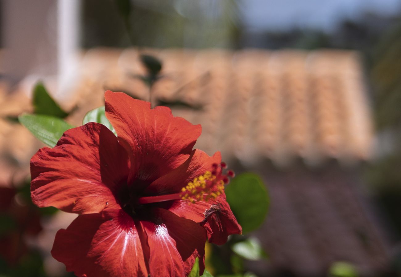 Villa en Javea / Xàbia - Villa Zephyra