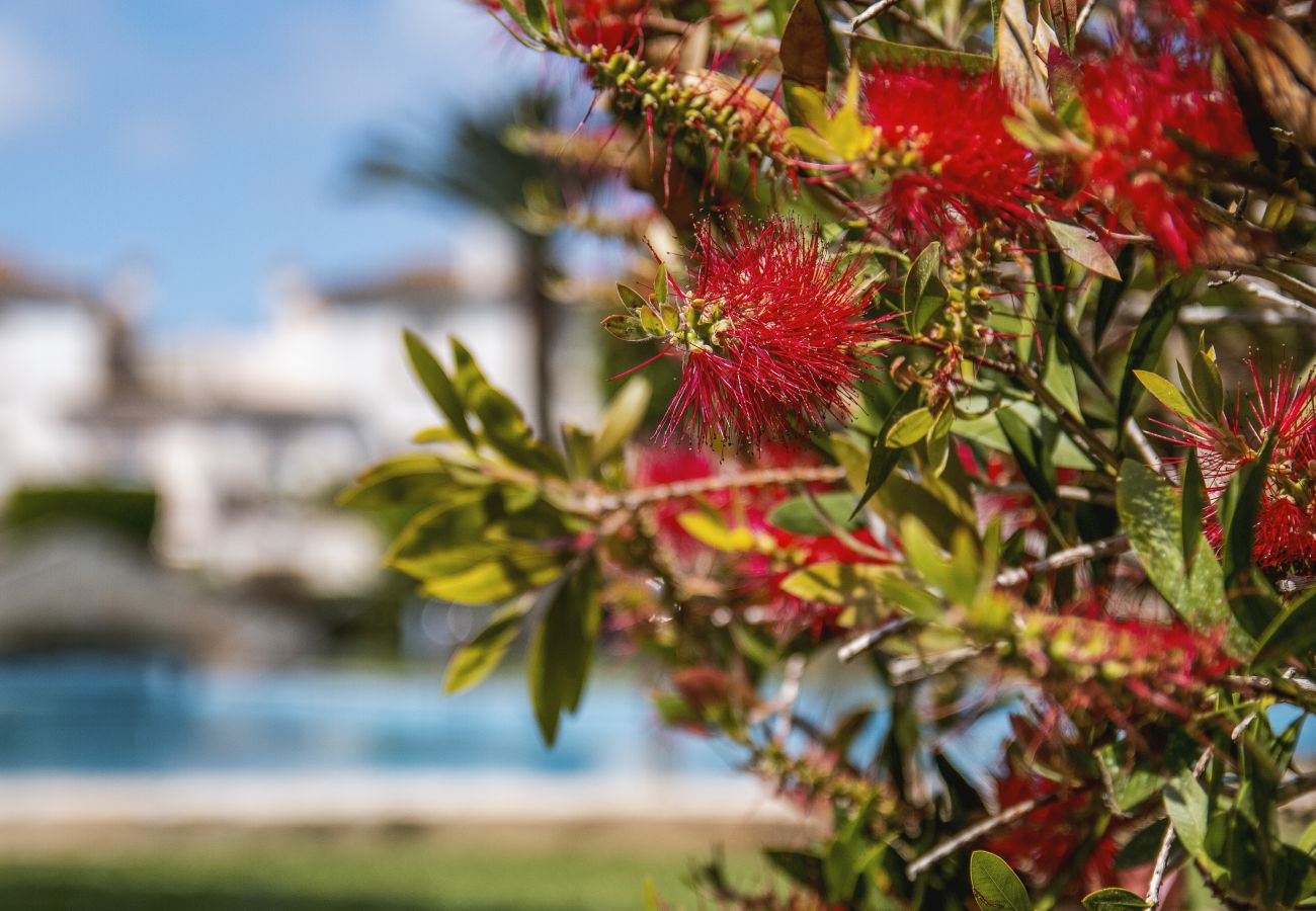 Appartement à Javea - La Isla Penthouse