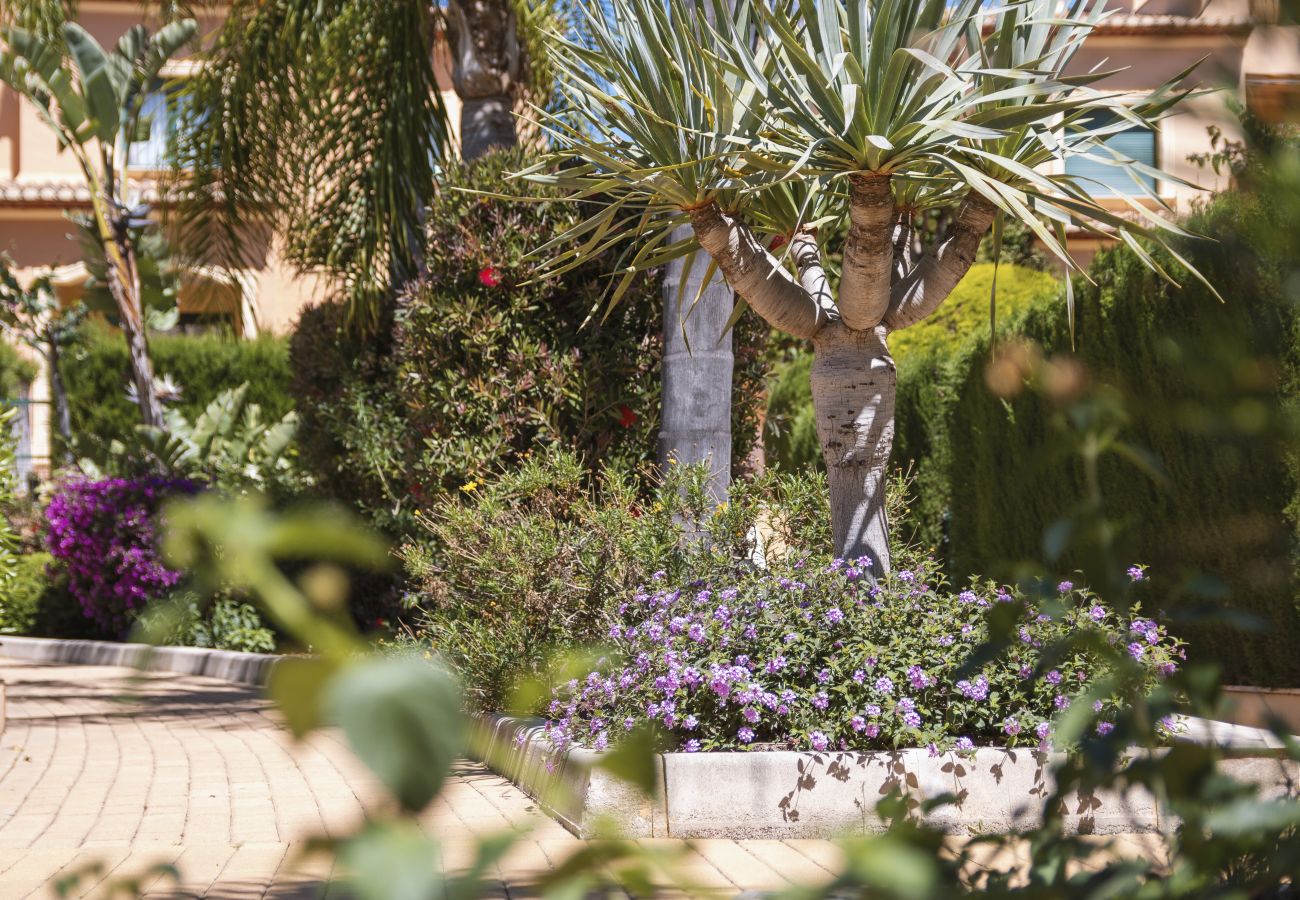 Appartement à Javea - Floridamar Mimosa