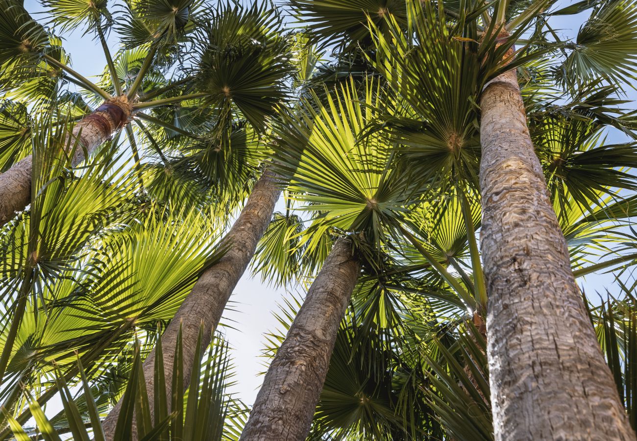 Appartement à Javea - La Palmera
