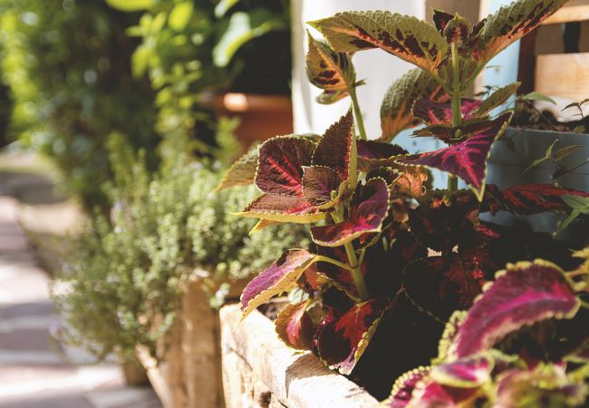 Apartment in Javea - Avalon Apartment in Javea - Avalon