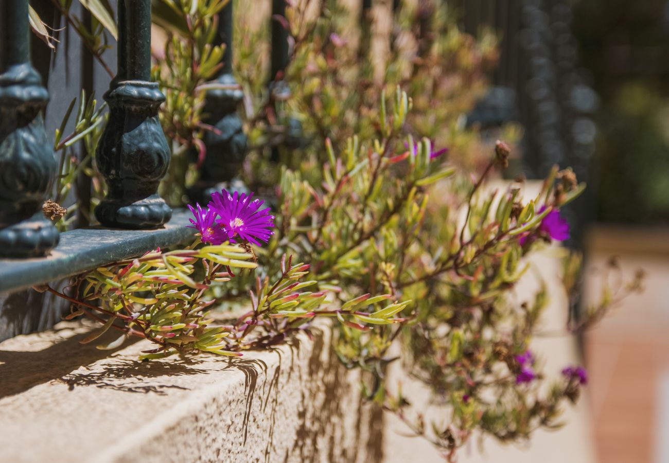 Apartment in Javea - Floridamar Mimosa