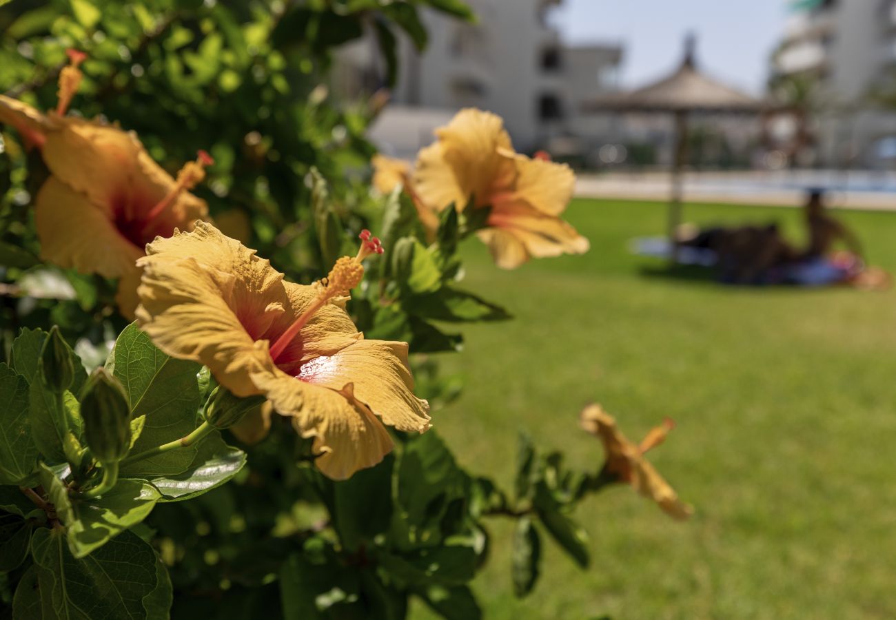 Apartment in Javea - Don Pepe Jardin