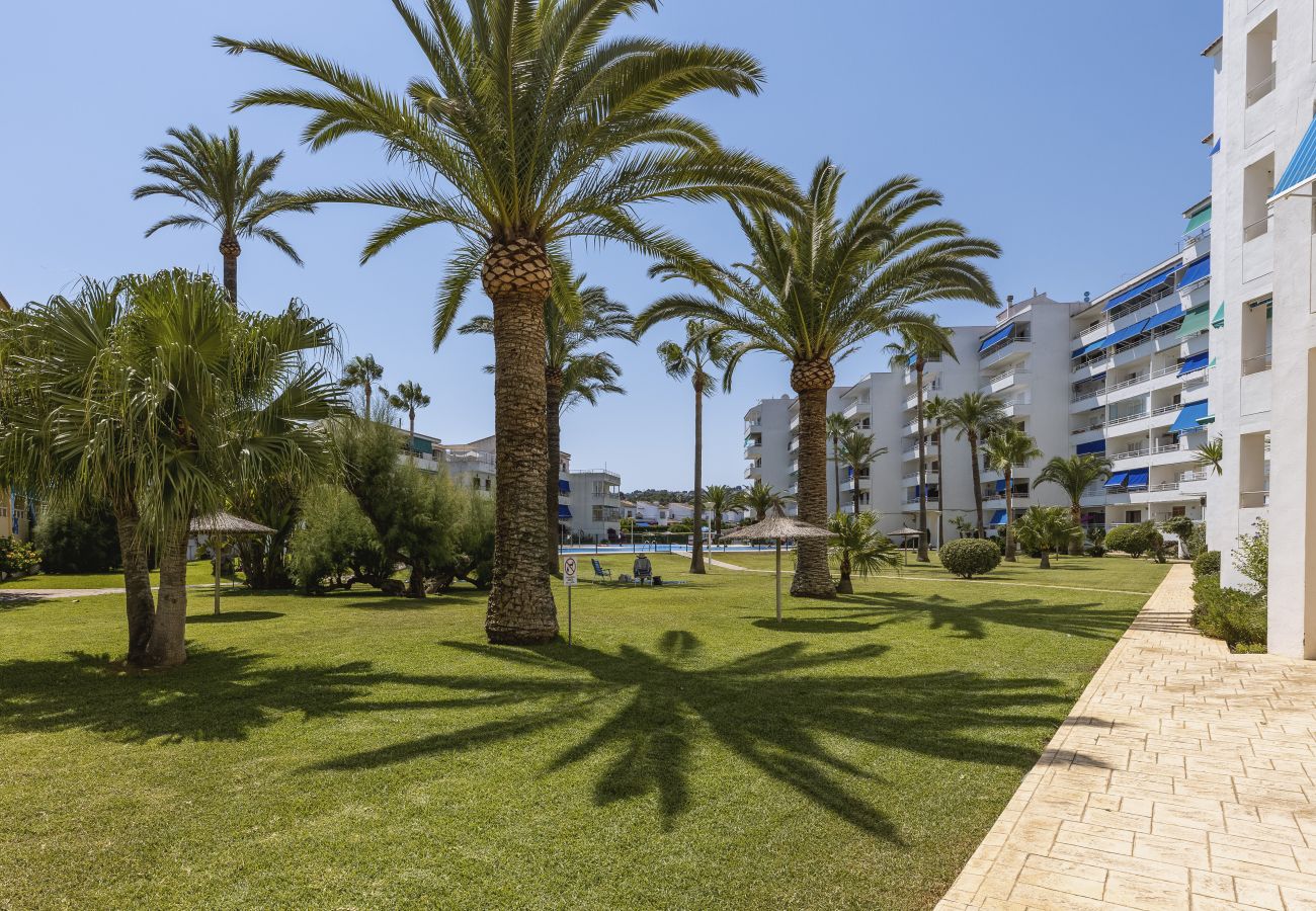 Apartment in Javea - Don Pepe Jardin