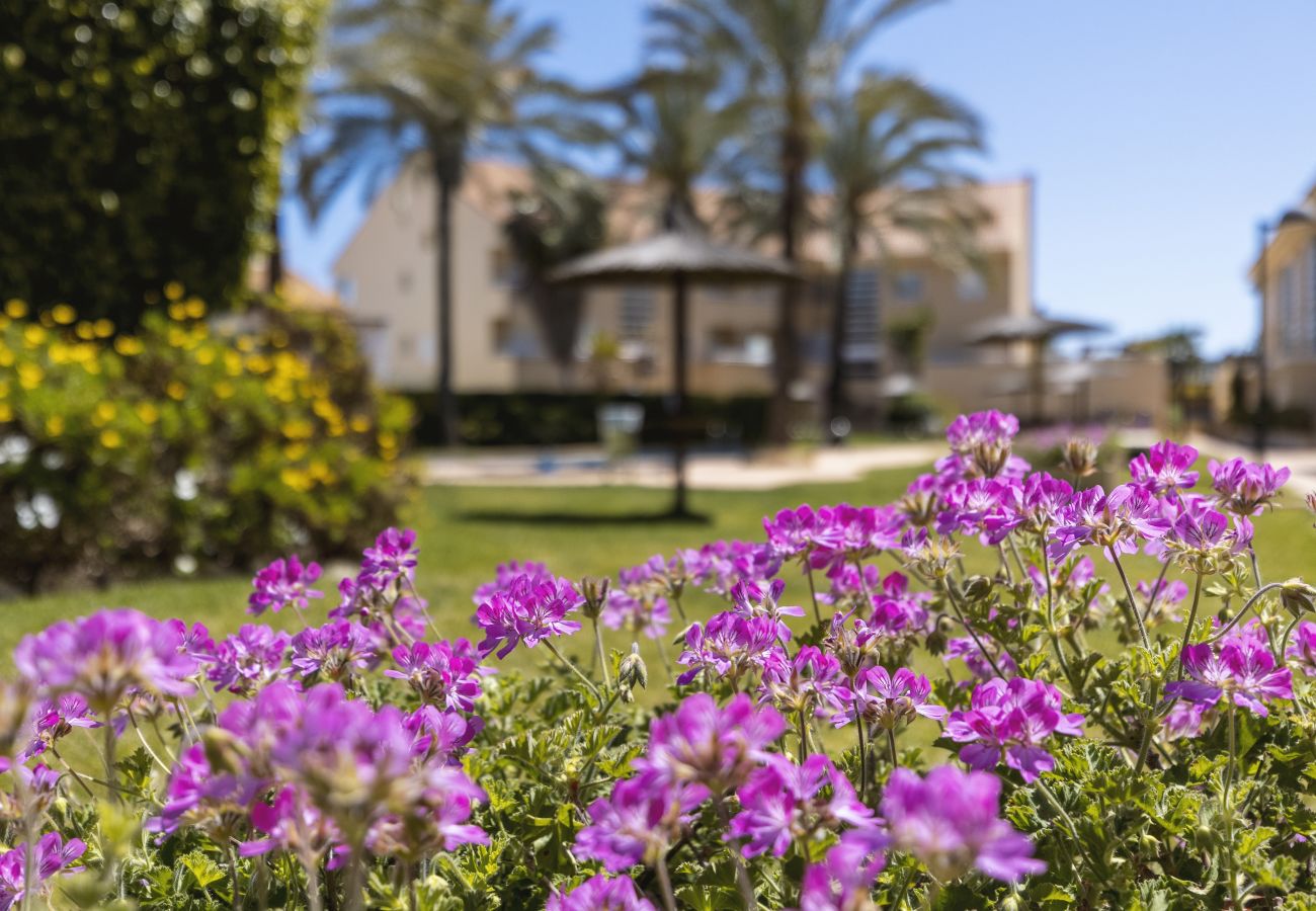 Apartment in Javea - El Patio - Golden Beach