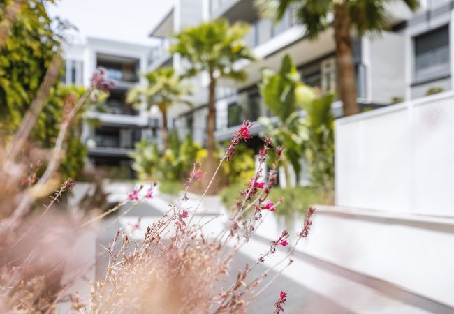 Apartment in Javea - Nova Essential Apartment in Javea - Nova Essential